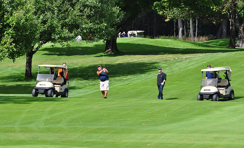 what is the micro switch on club car golf cart？.png