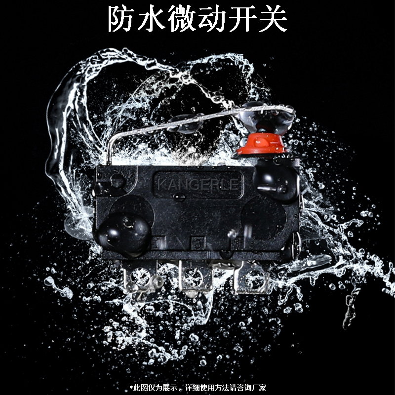 1687945024402843.jpg 防水微動開關IP67.jpg