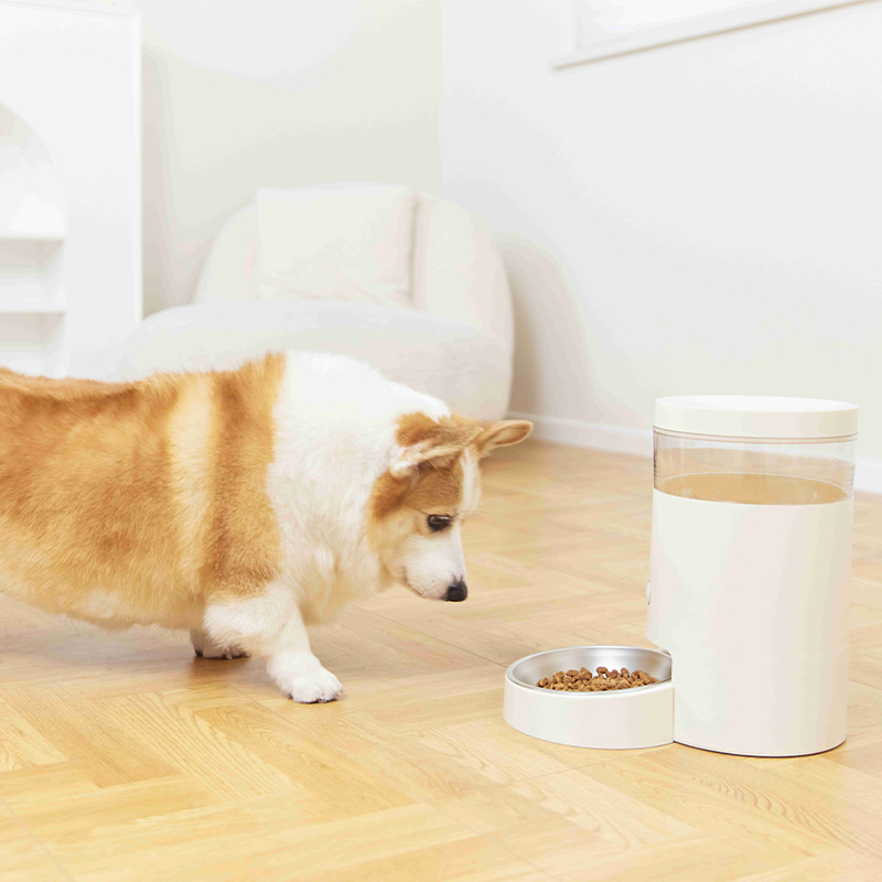 寵物自動喂食器開關.jpg
